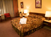 Hotel Gloria - Room